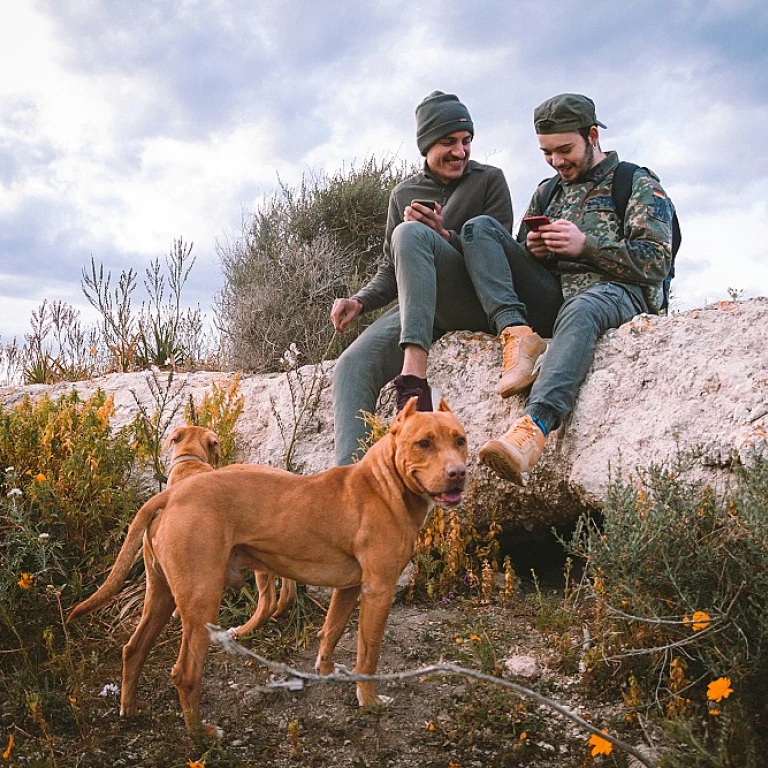 La fascinante diversité des chiens portugais