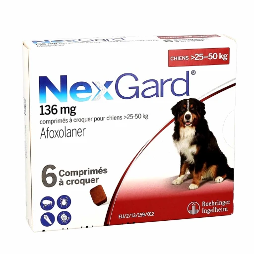 Nexgard chien : tout ce que vous devez savoir