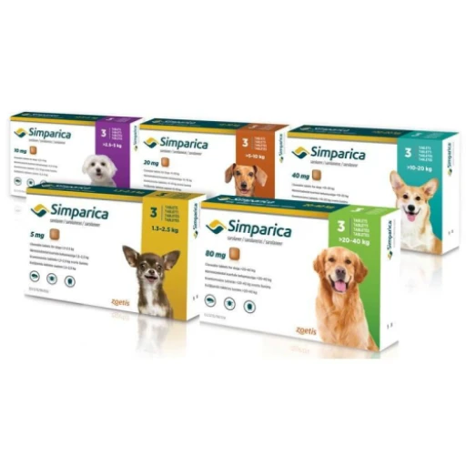 Choisir simparica pour chien : une solution efficace contre les puces et tiques