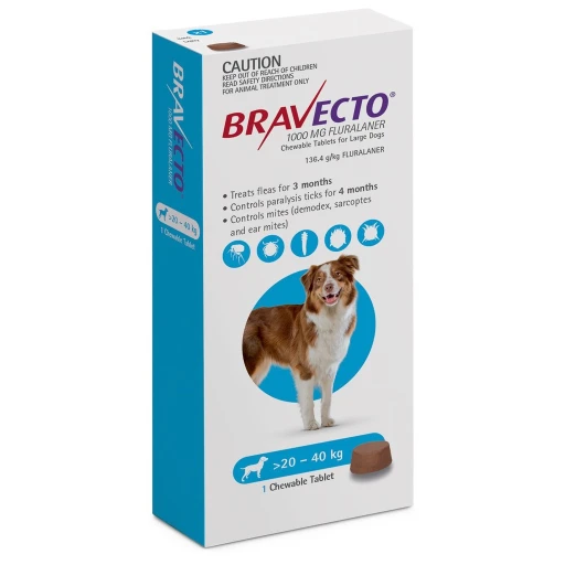 Bravecto chien : tout ce que vous devez savoir