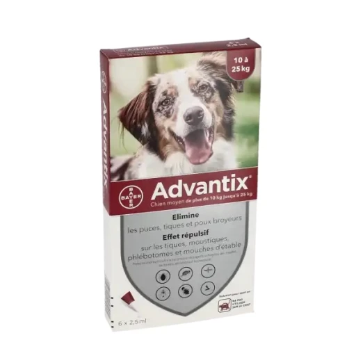 Advantix chien : tout savoir pour protéger votre compagnon